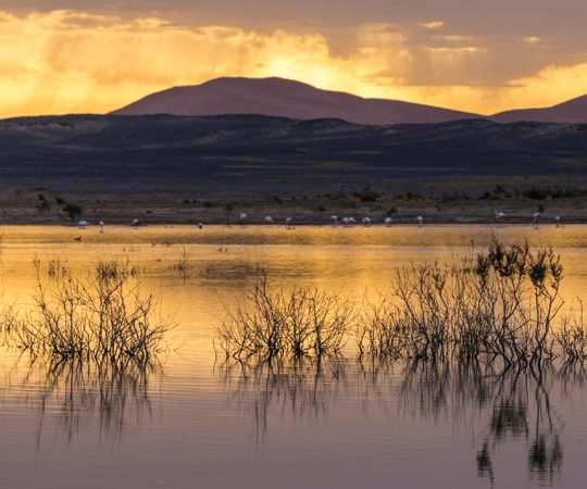 See bei Sonnenuntergang mit Watvögeln und Bergen im Hintergrund