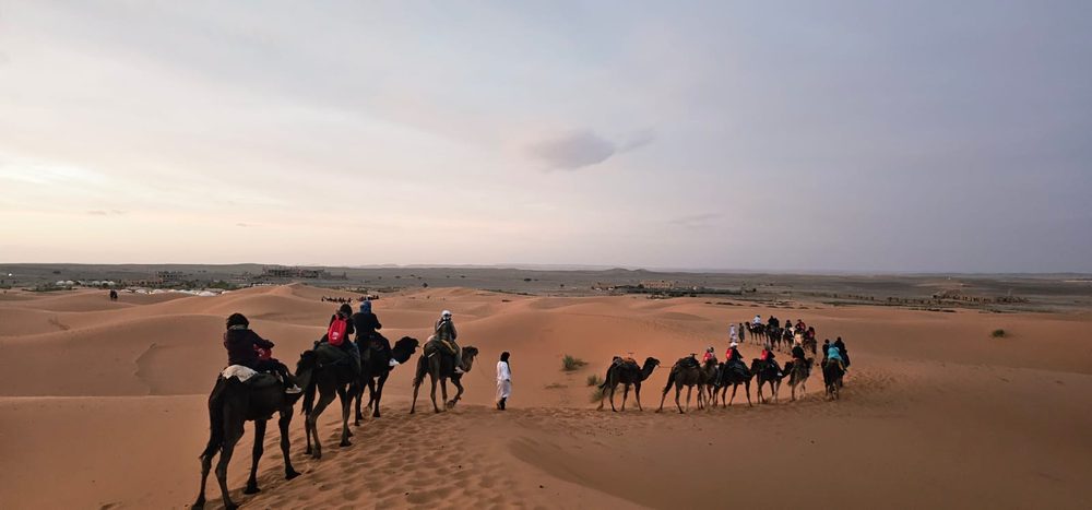 Dromedar-Karawane in den Dünen, mit dem Camp in der Ferne
