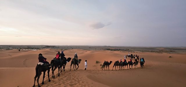 Camel caravan crossing the dunes, with the camp in the distance
