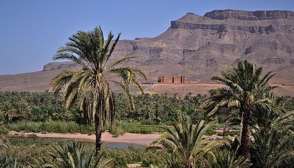 Palmenhain und alte Kasbah im Draa-Tal auf dem Weg nach Zagora