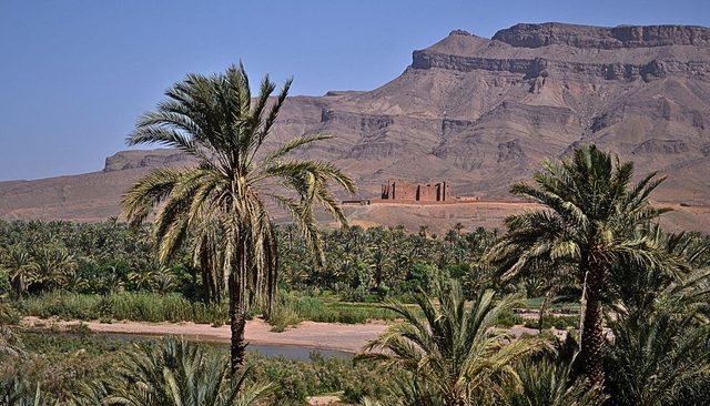 Palmenhain und alte Kasbah im Draa-Tal auf dem Weg nach Zagora