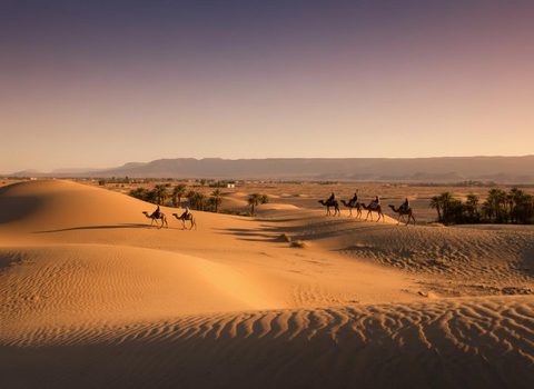 Kamelkarawane in den Dünen in der Abenddämmerung